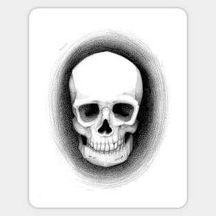 Skull Sticker